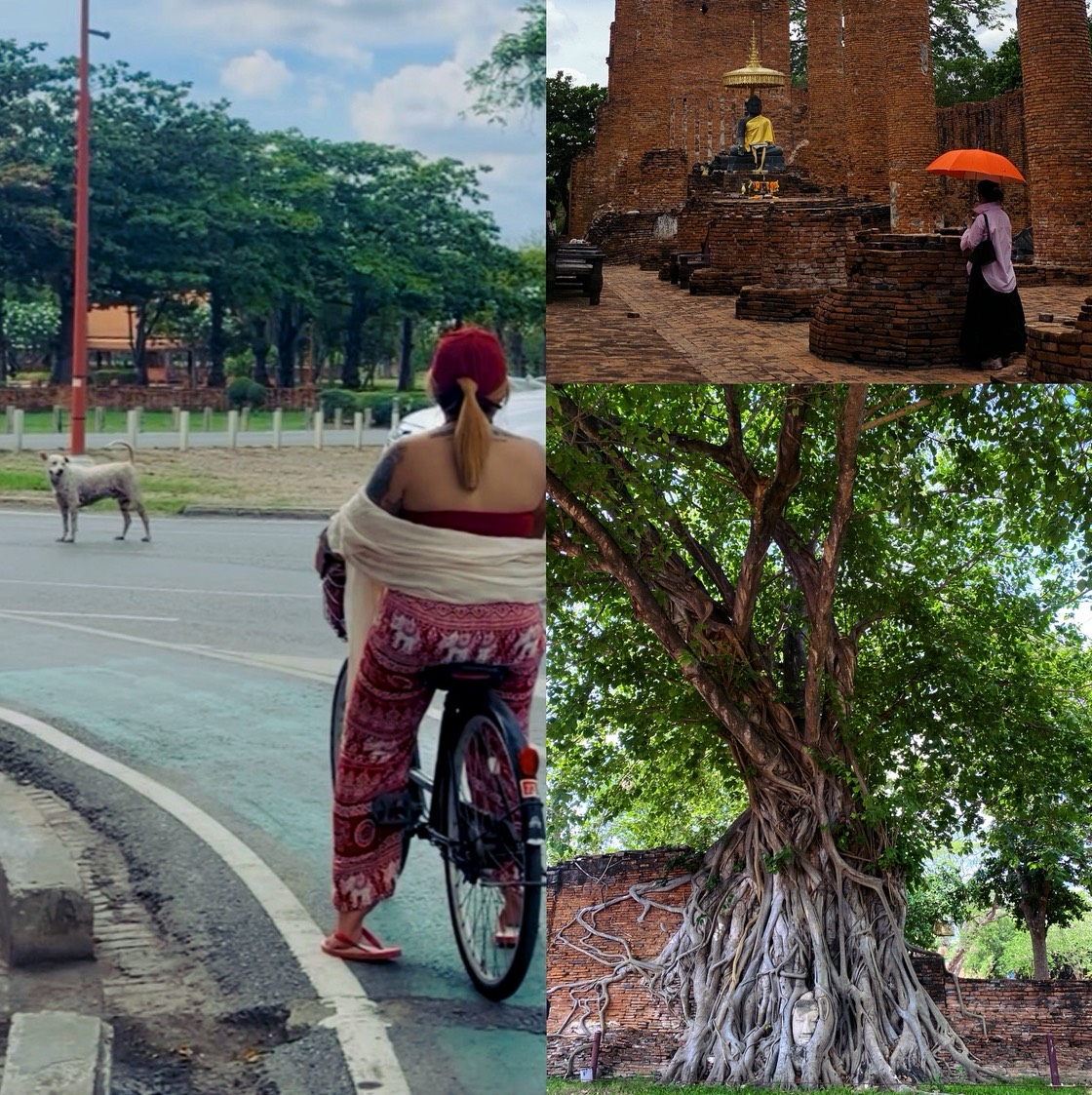 Cycling around the old town.